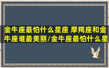 金牛座最怕什么星座 摩羯座和金牛座谁最美丽/金牛座最怕什么星座 摩羯座和金牛座谁最美丽-我的网站